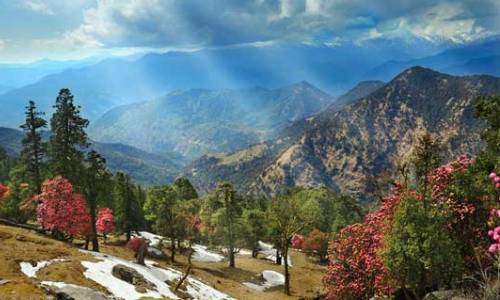 Binsar Uttarakhand tour