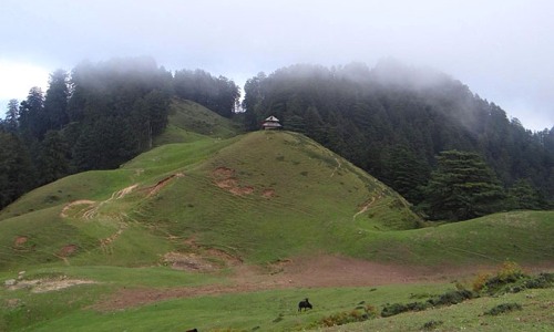 Chakrata Uttarakhand tour